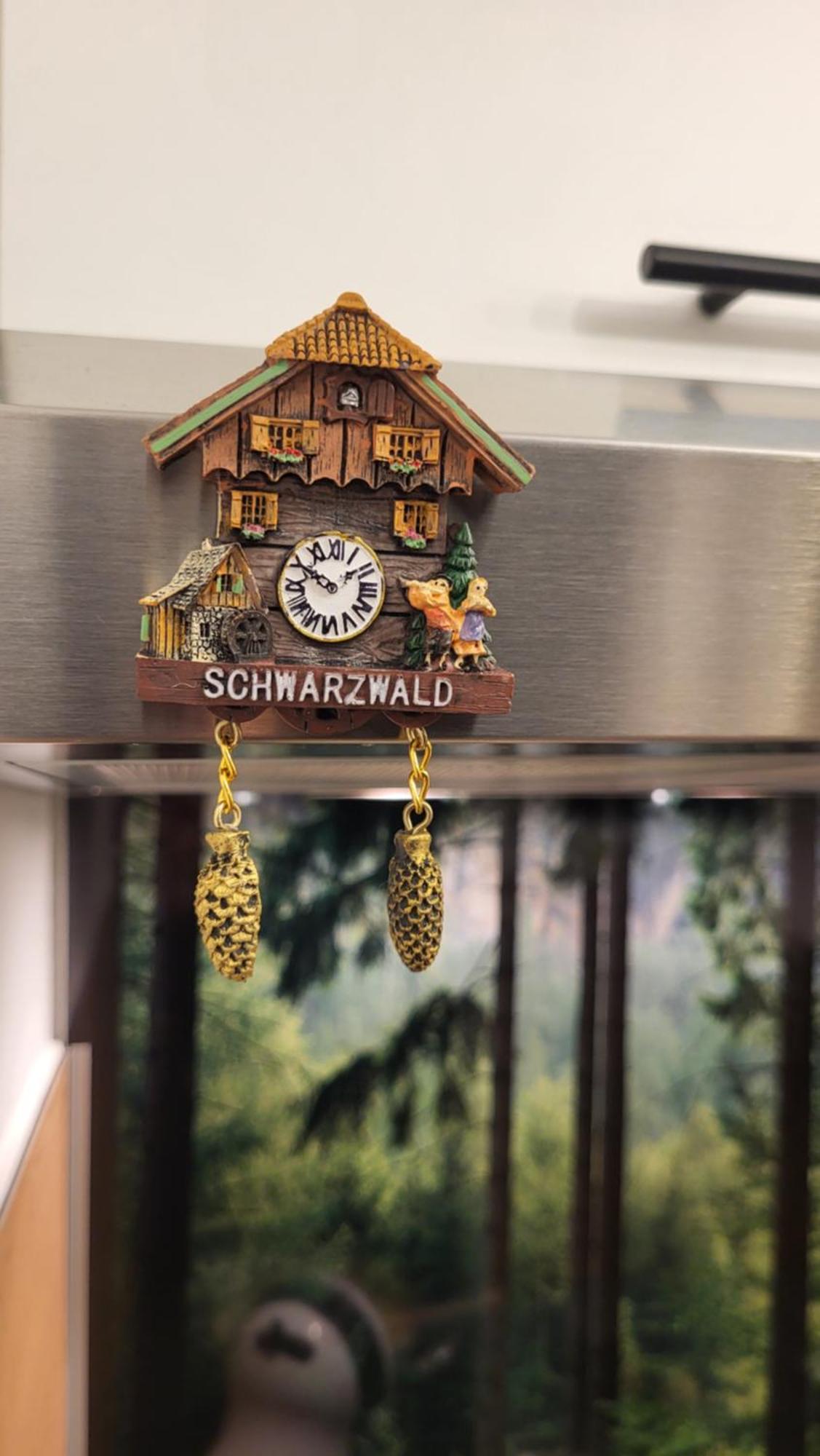 Fewo Gretel Schoenwald Buitenkant foto