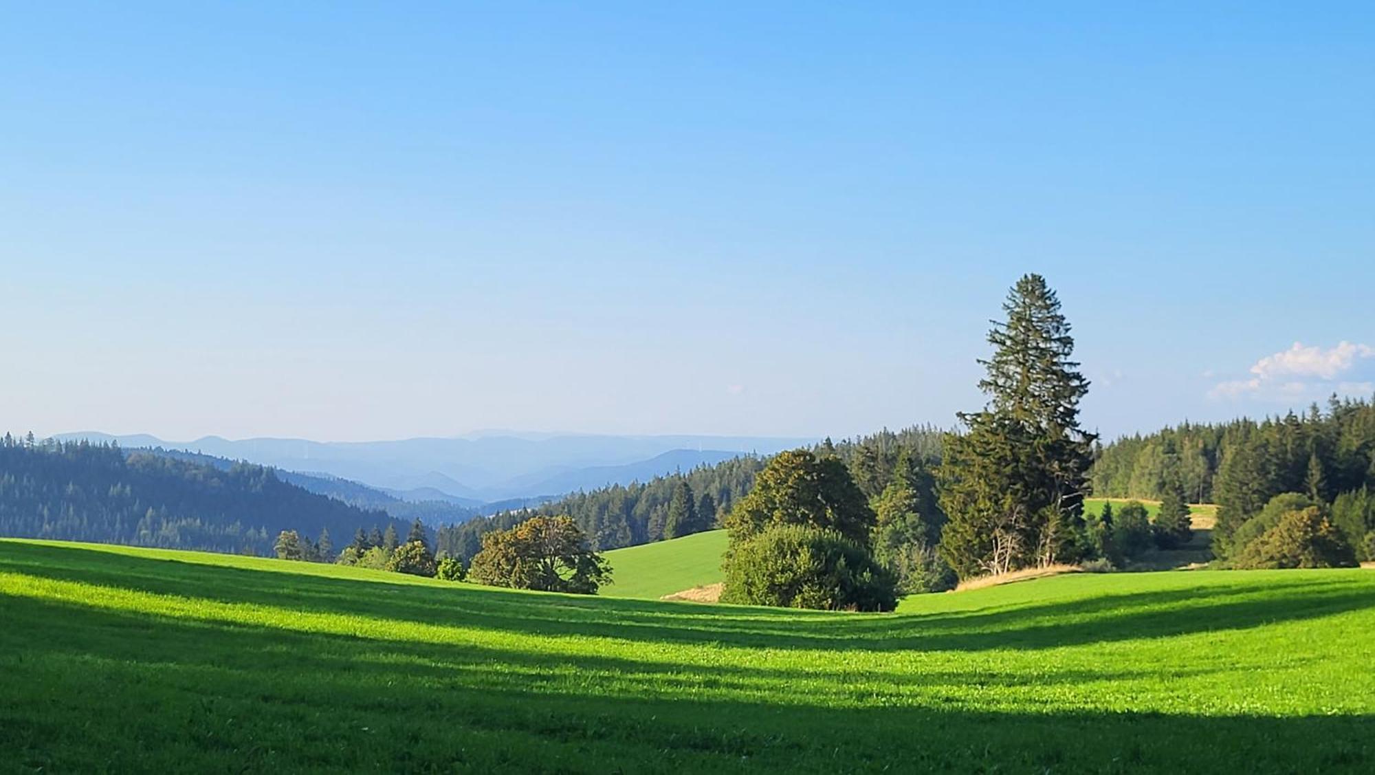 Fewo Gretel Schoenwald Buitenkant foto