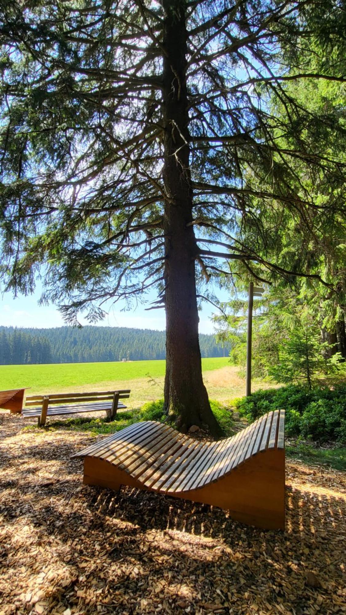 Fewo Gretel Schoenwald Buitenkant foto