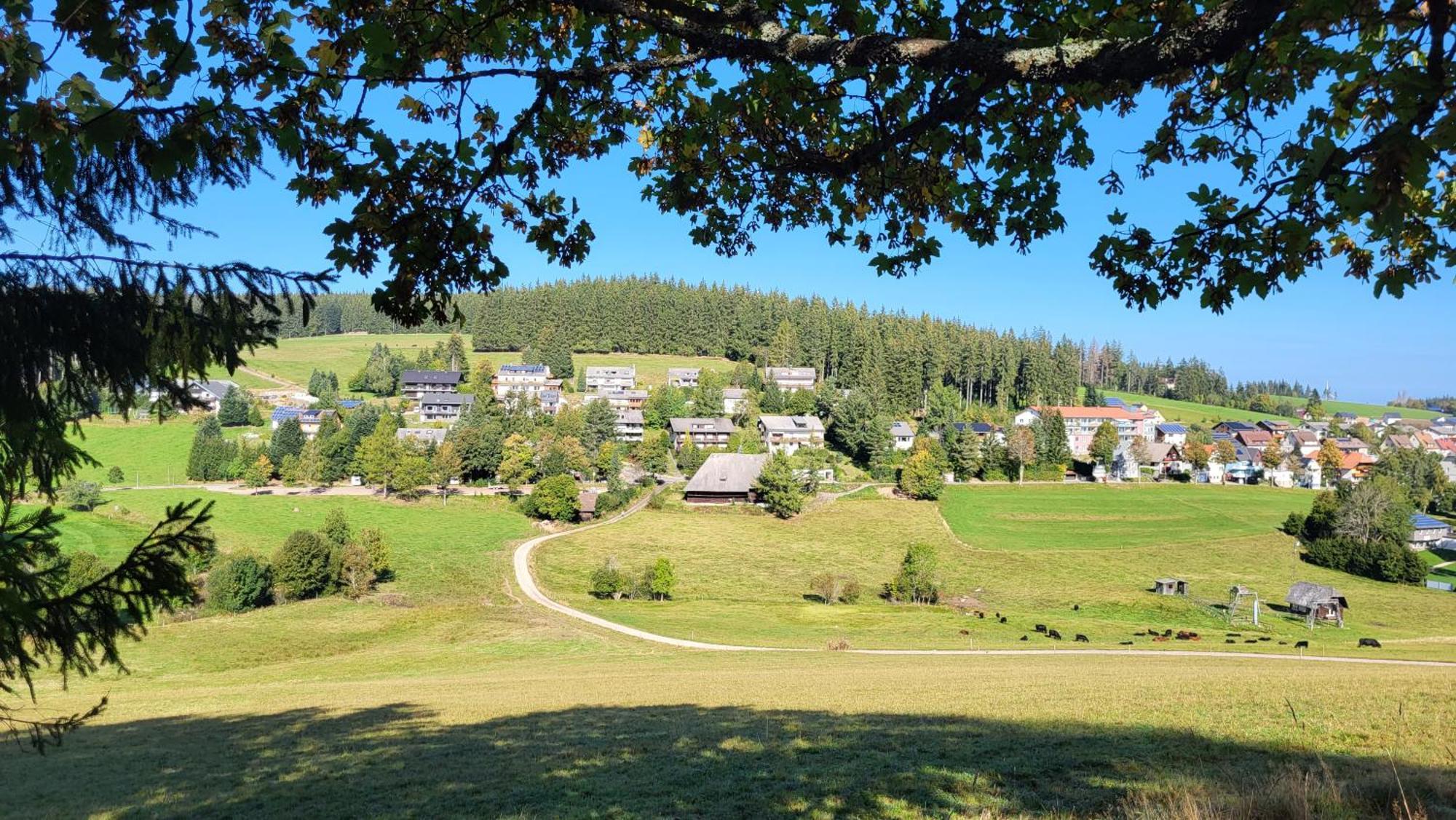 Fewo Gretel Schoenwald Buitenkant foto